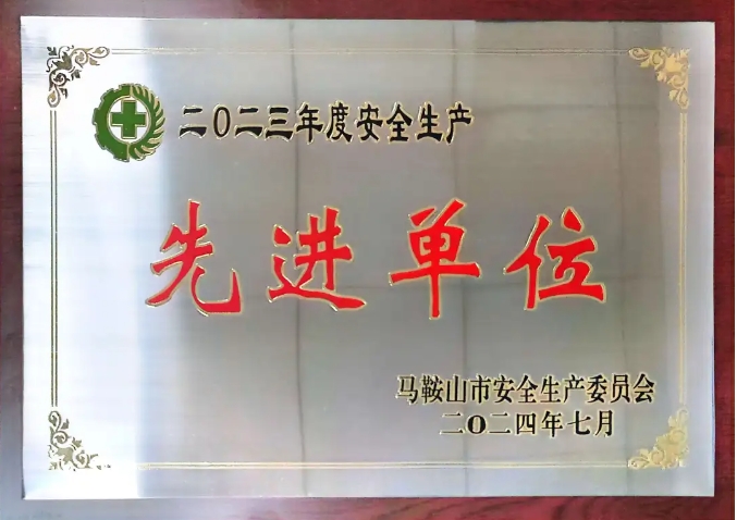 馬鞍山長客:當涂長客榮獲“馬鞍山市2023年度安全生產(chǎn)先進單位”